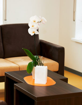 Wohnzimmer mit Sofa und Pflanzen